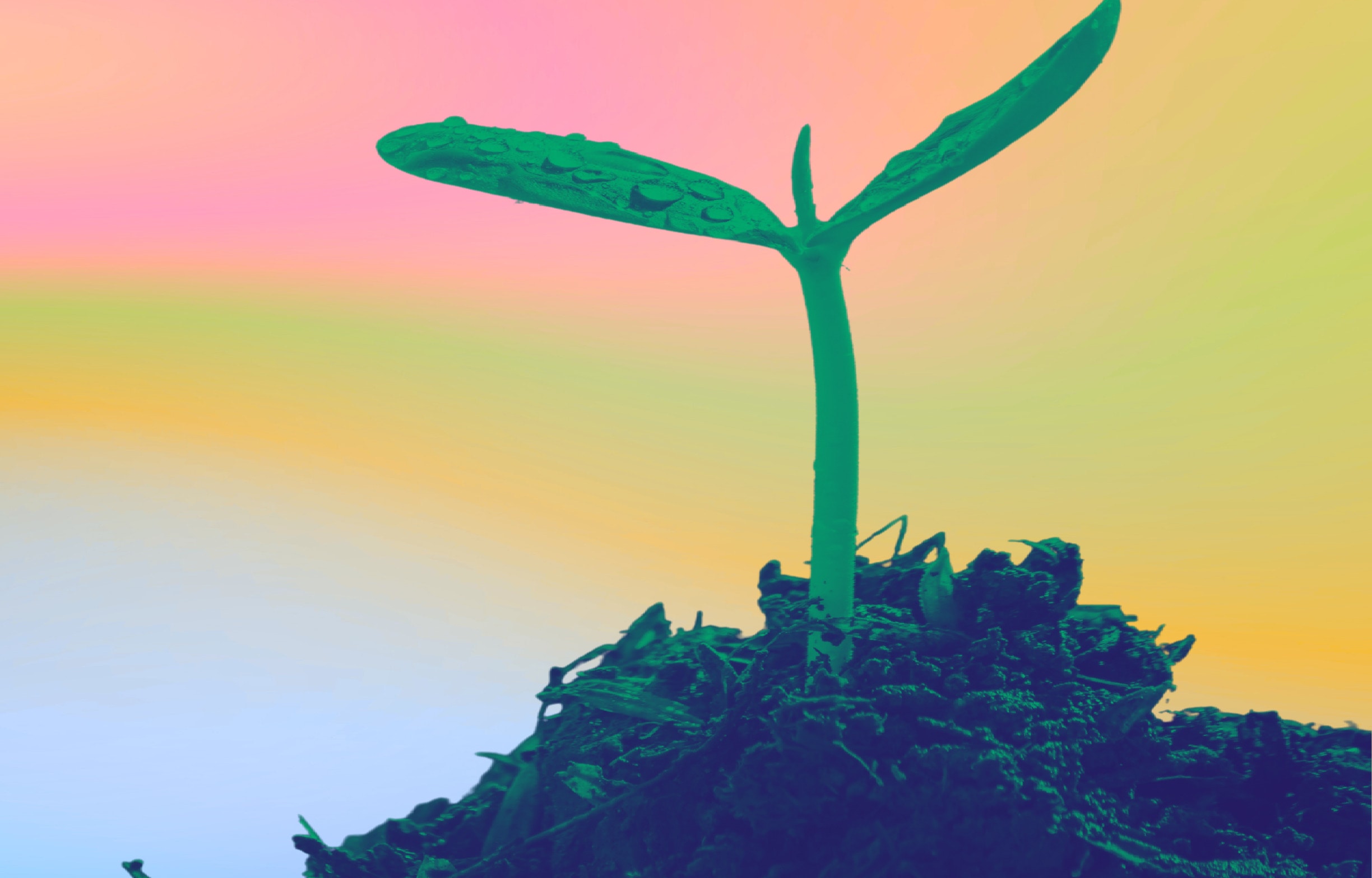 Fundraising per la cultura: gli strumenti digitali 